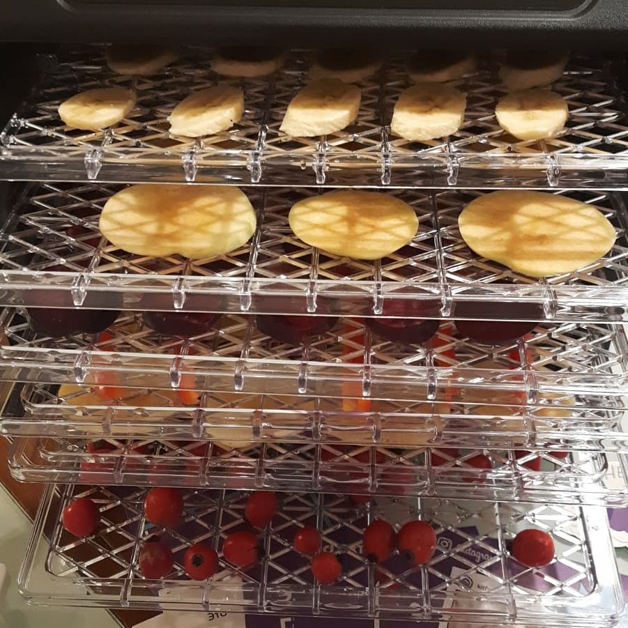 Обзор сушилки для овощей Kitfort КТ-1905 Обзоры пользователей