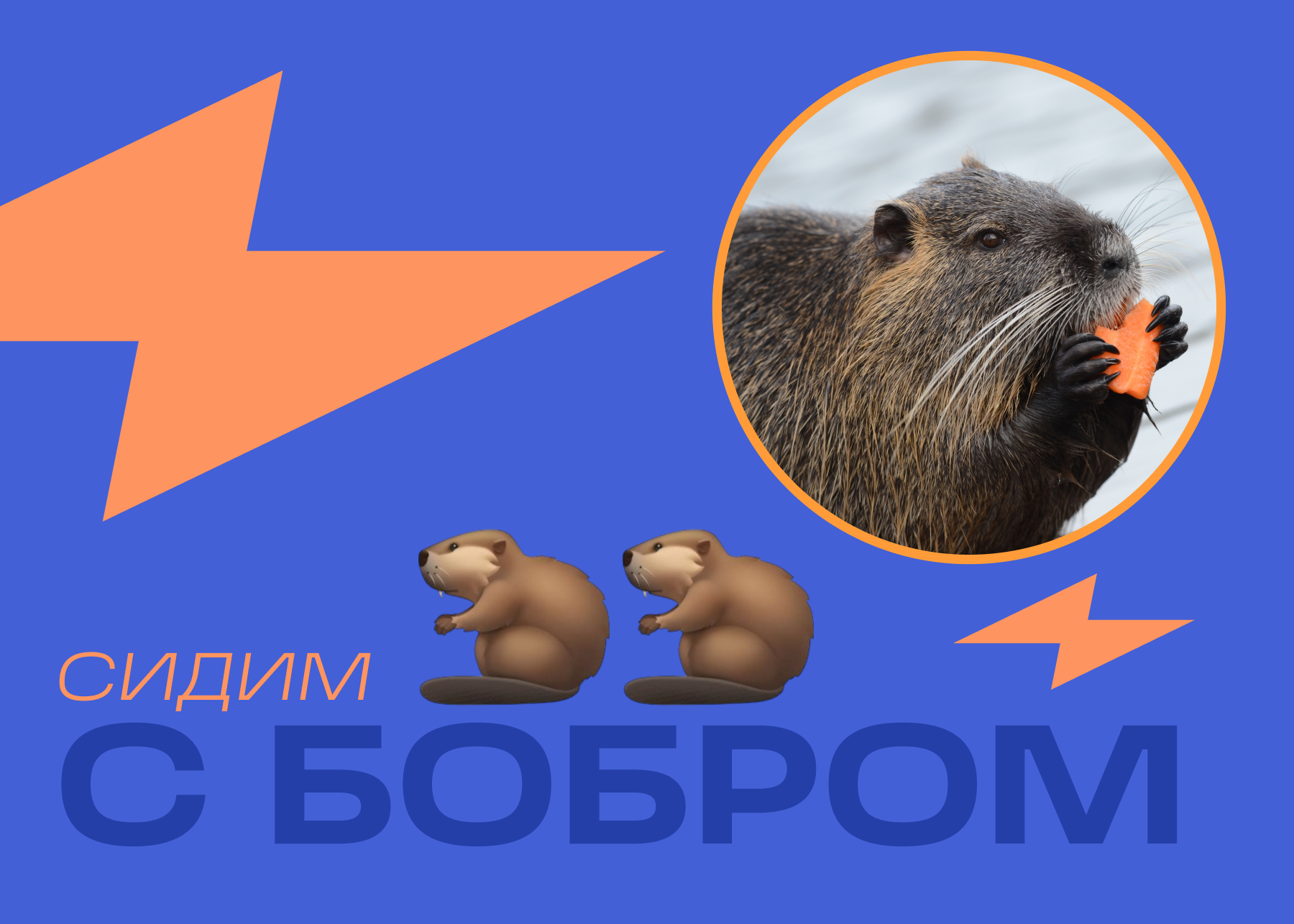 Сидим с бобром за столом: что за мем, почему стал популярным | Читайте ...